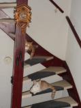 Image Cats/Ginger-Ronja-2012-01-01.000.jpg