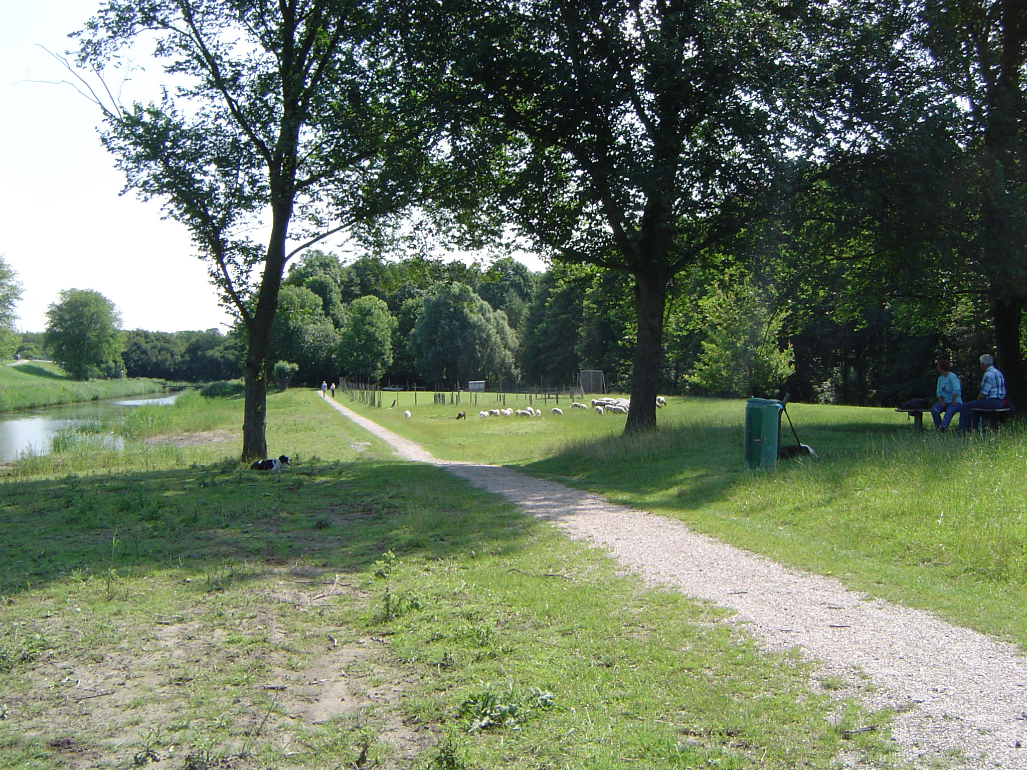 Image Hond/Kees/Kees-wandeling-2009-07-14.005.jpg