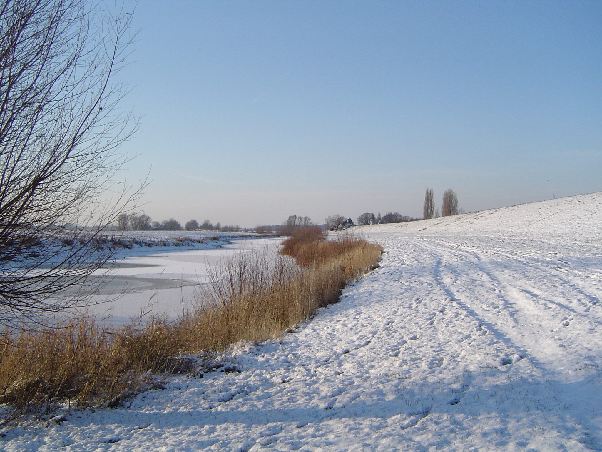 Image Hond/Kees/Wandeling/Kees-Wandeling-2009-12-19.015.jpg